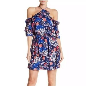 New Parker Lorenzo Dress